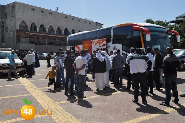 3omrashneer321 (20).JPG